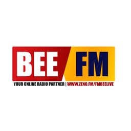 Website preview
